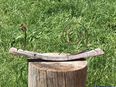 KAC Gaissau Kräuterwanderung 2019 06 29 13 49 16  3428